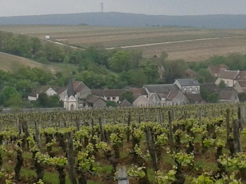 Le Clos Saint Martin Sancerre Exterior photo